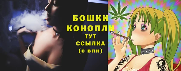 стафф Покровск