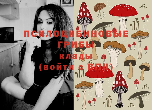 твердый Покачи
