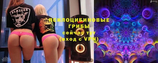 стафф Покровск