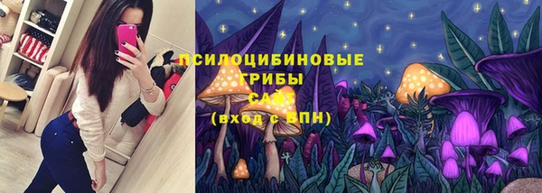 твердый Покачи