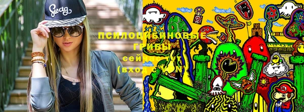стафф Покровск