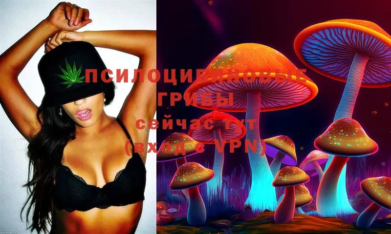 Галлюциногенные грибы Psilocybe  Тетюши 